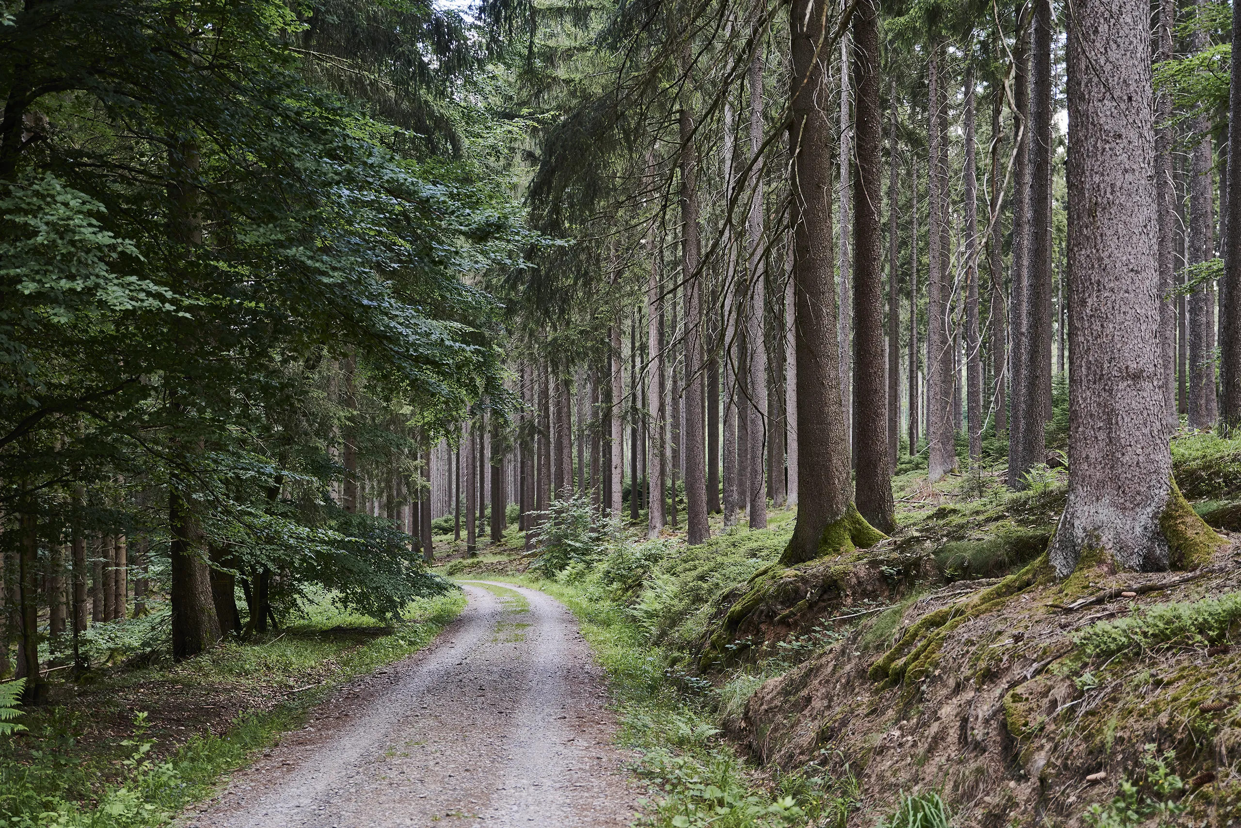 200702_HESSEN_SPESSART_02_0581_FINAL_DRUCK