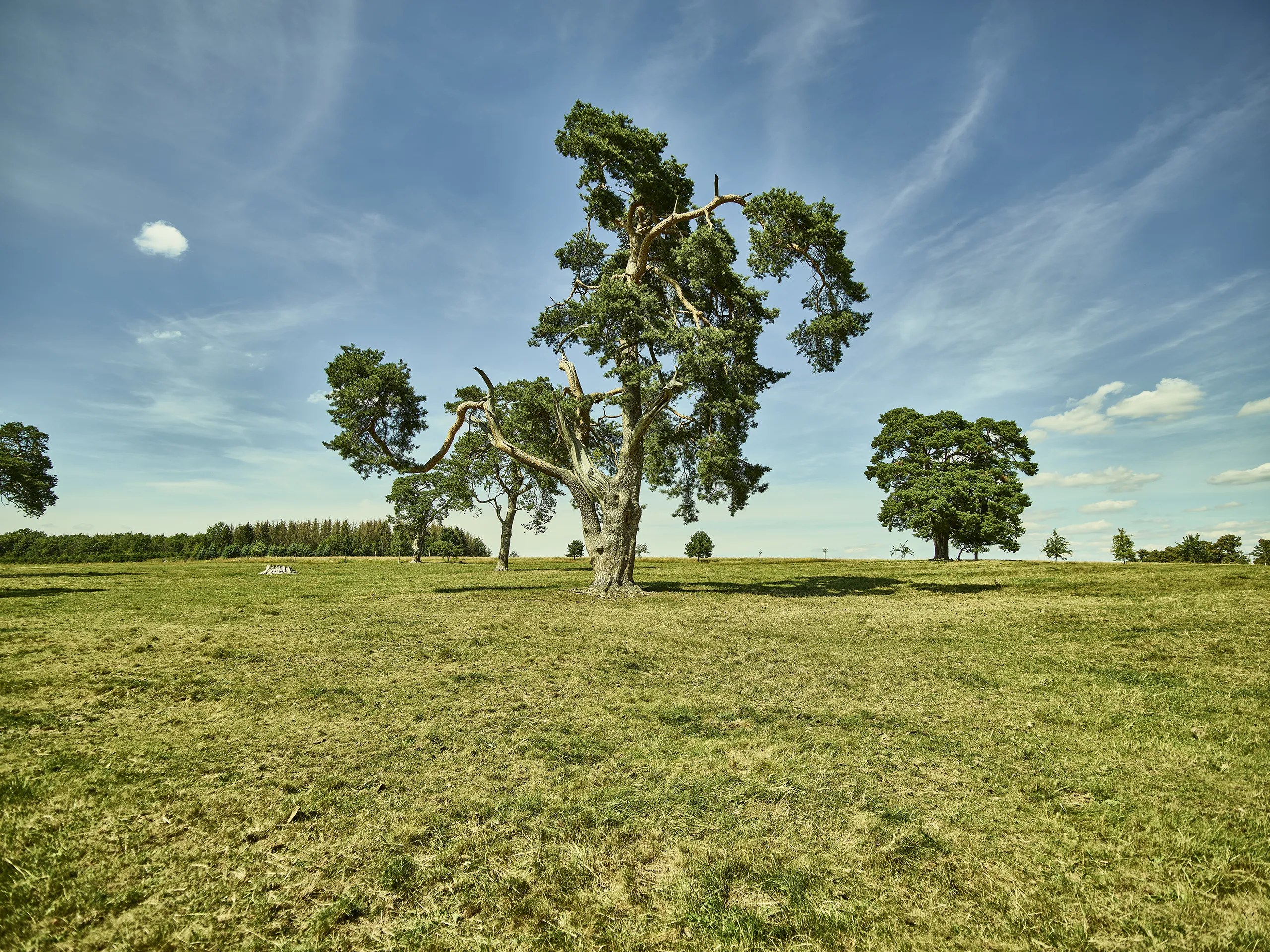 200722_HESSEN_TOURISMUS_VOGELSBERG_011051_FINAL_DRUCK