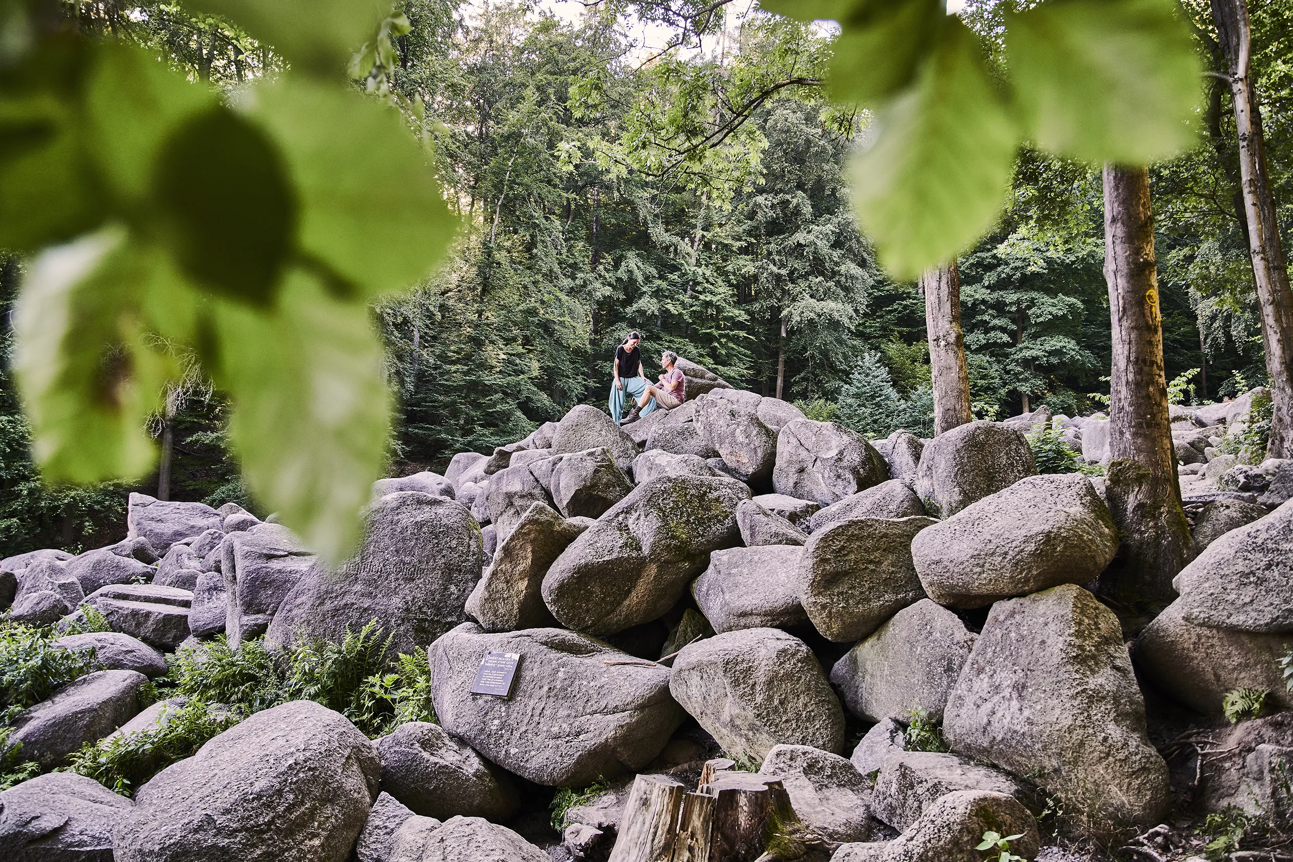 200731_HESSEN_TOURISMUS_ODENWALD_03_0859_FINAL_DRUCK_WARM