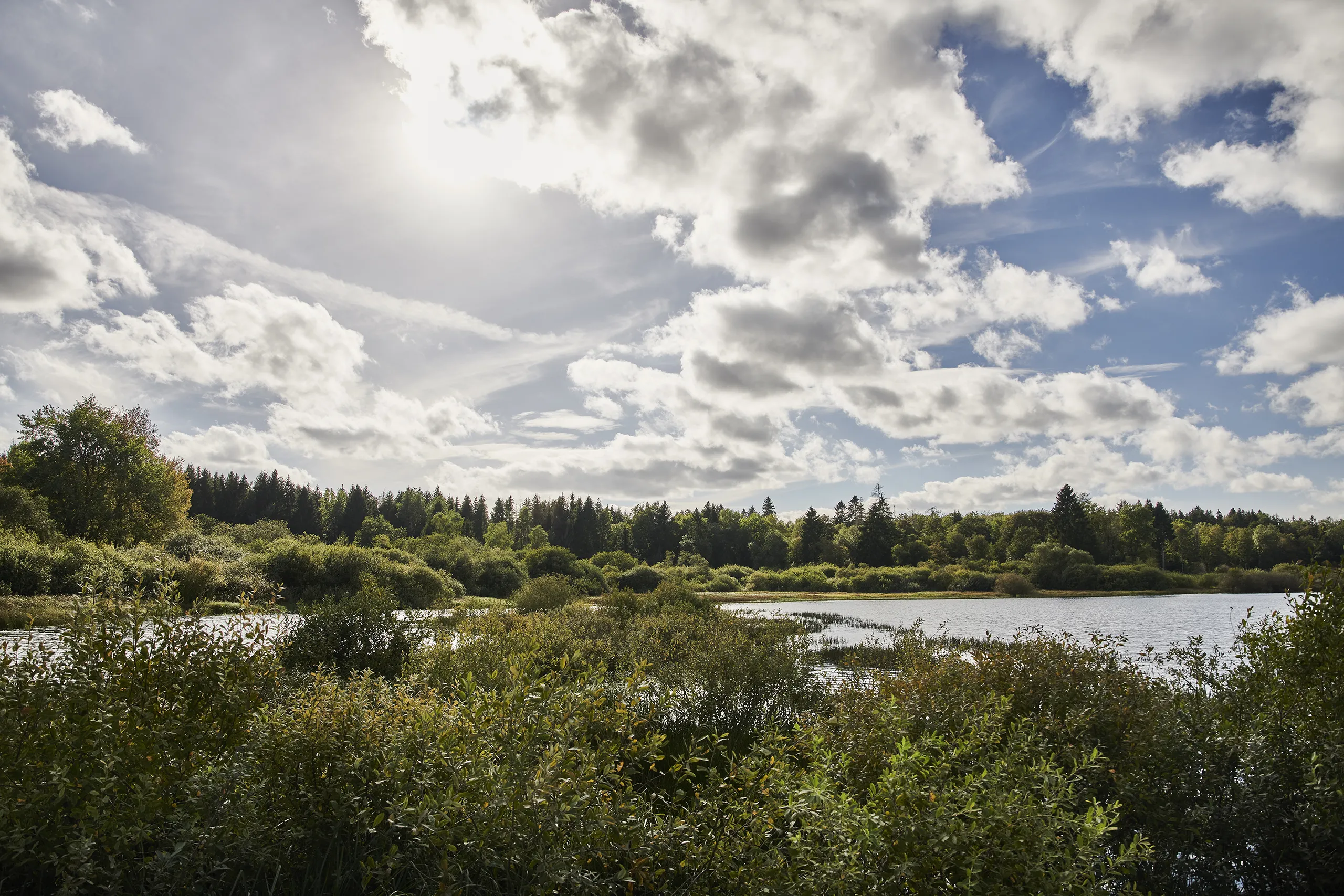 230919_HT_WESTERWALD_KROMBACHTALSPERRE_0156_FINAL_DRUCK