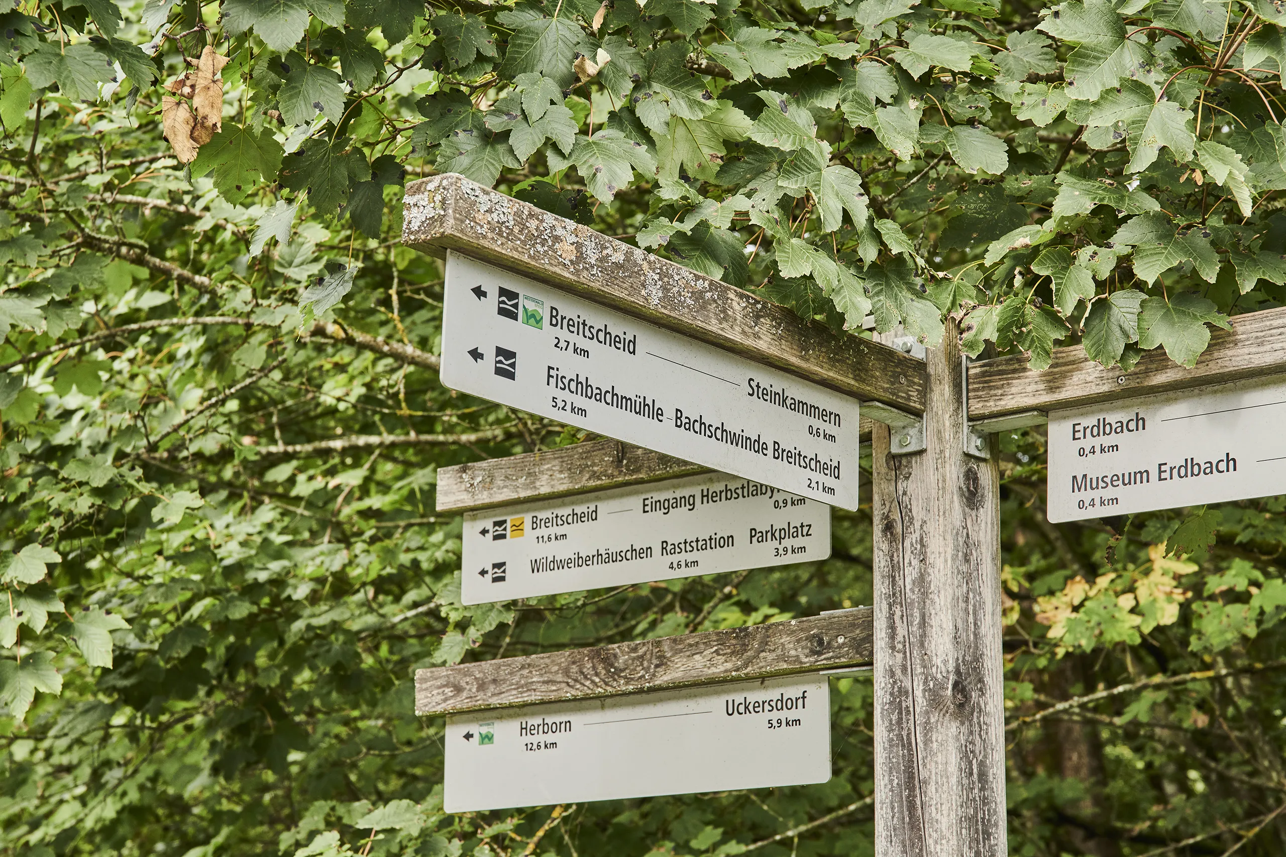 230919_HT_WESTERWALD_STEIG_KARST_HOEHLEN_0004_FINAL_DRUCK