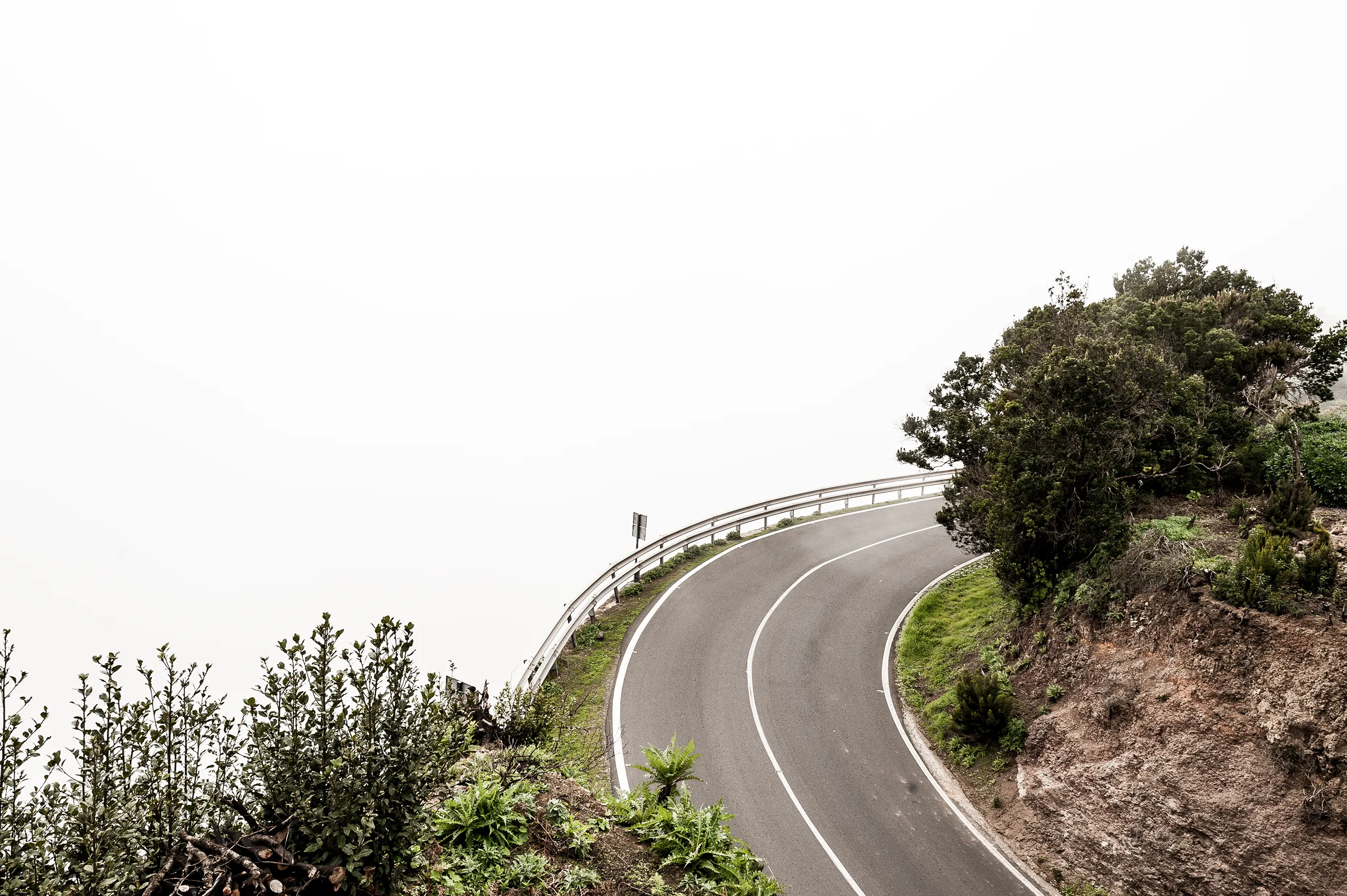 131223_LA_GOMERA_0880