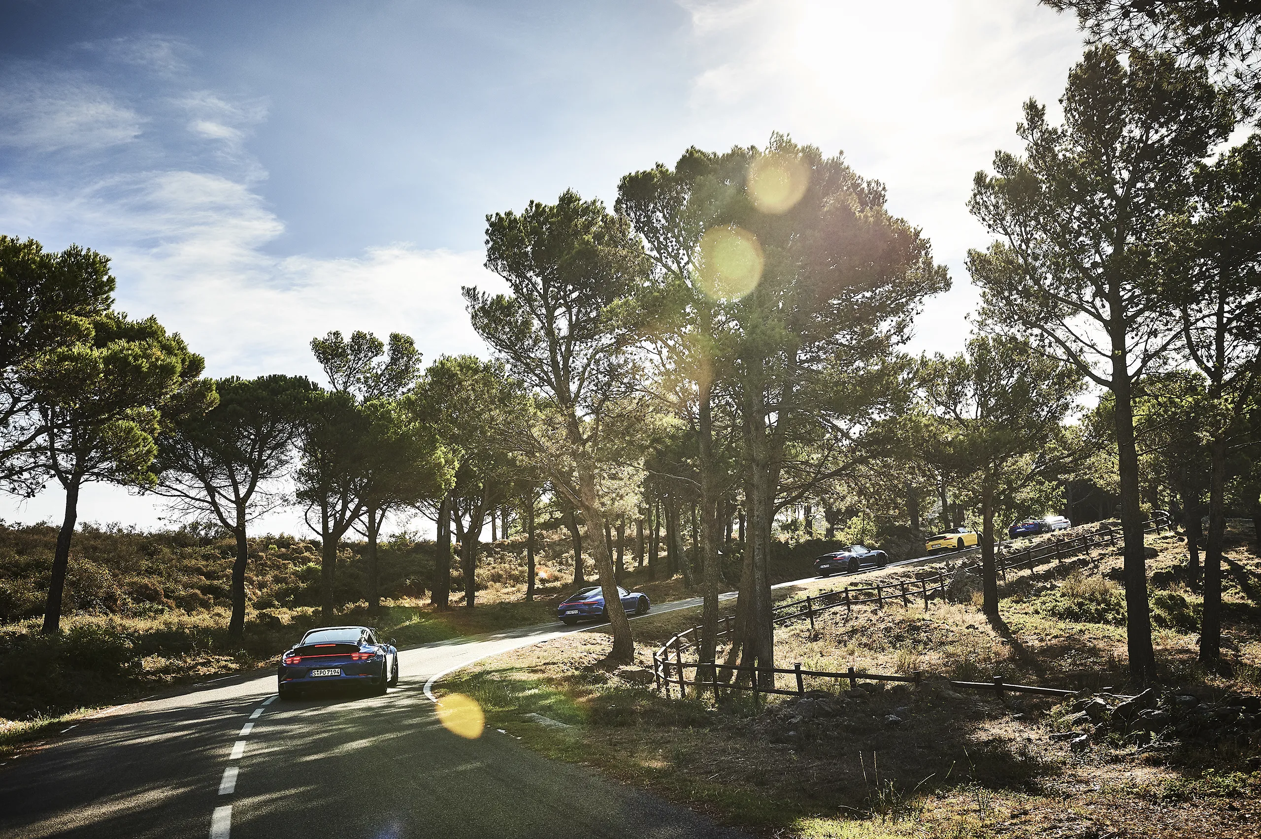 170820_PYRENAEEN_07_2815