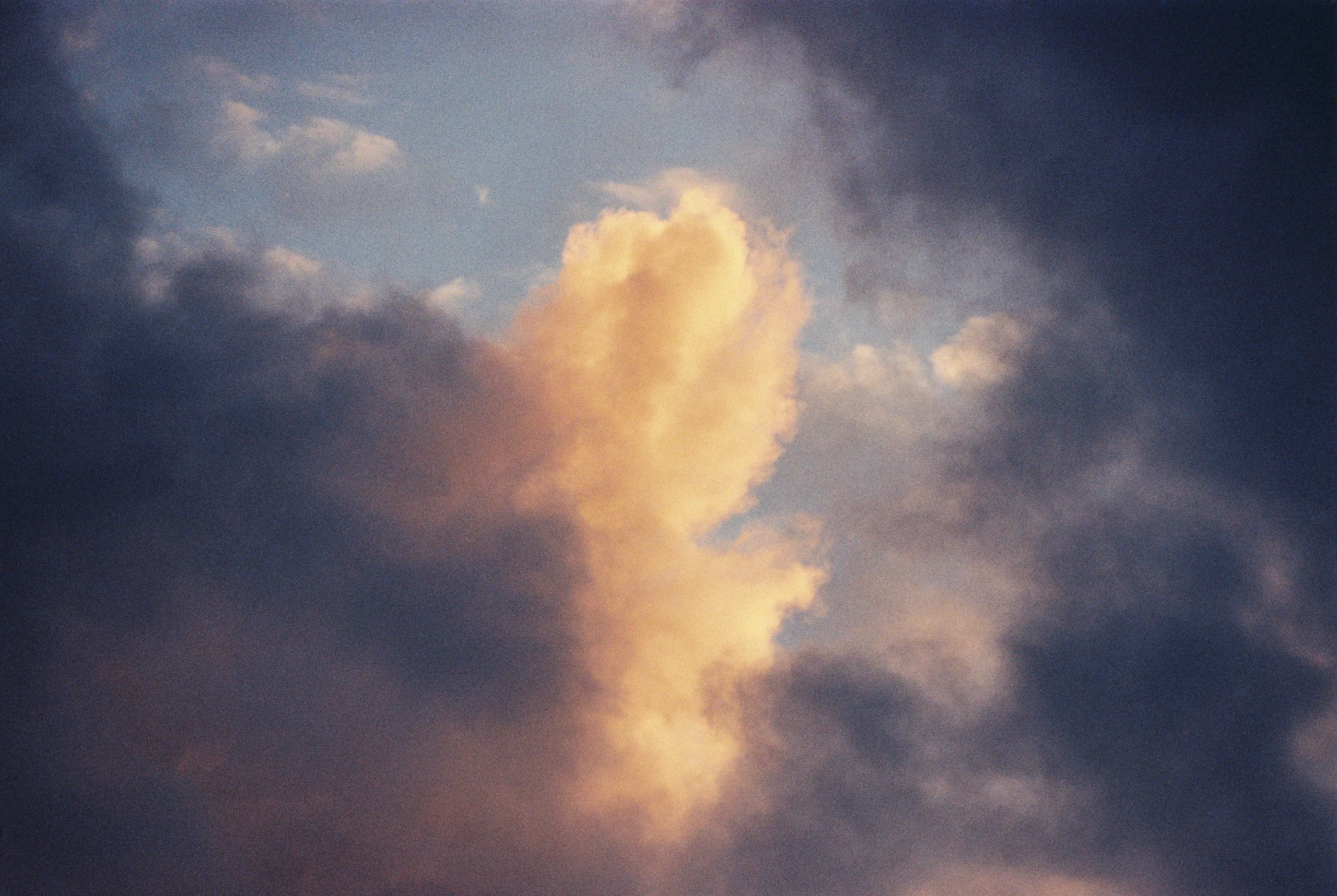 181015_SCANS_HOLLAND_ANNIKA_02_0015