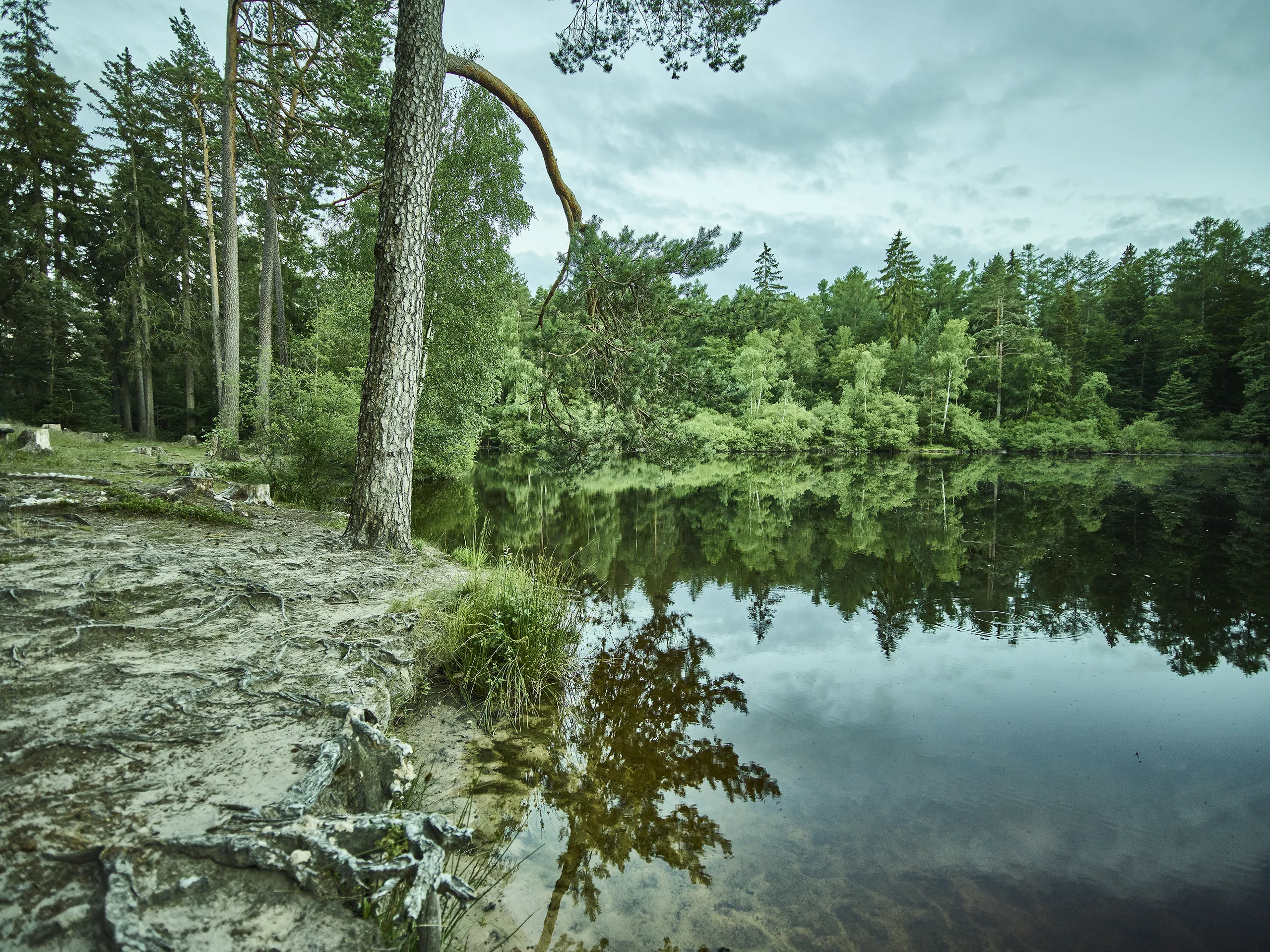 200701_HESSEN_SPESSART_01_0469_FINAL_DRUCK