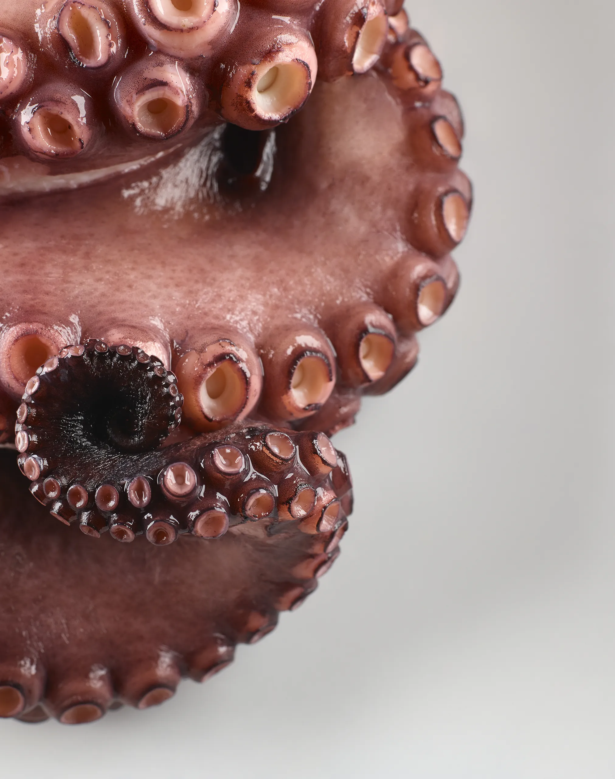 160622_PHOENIX_FOOD_28471_FINAL_DRUCK