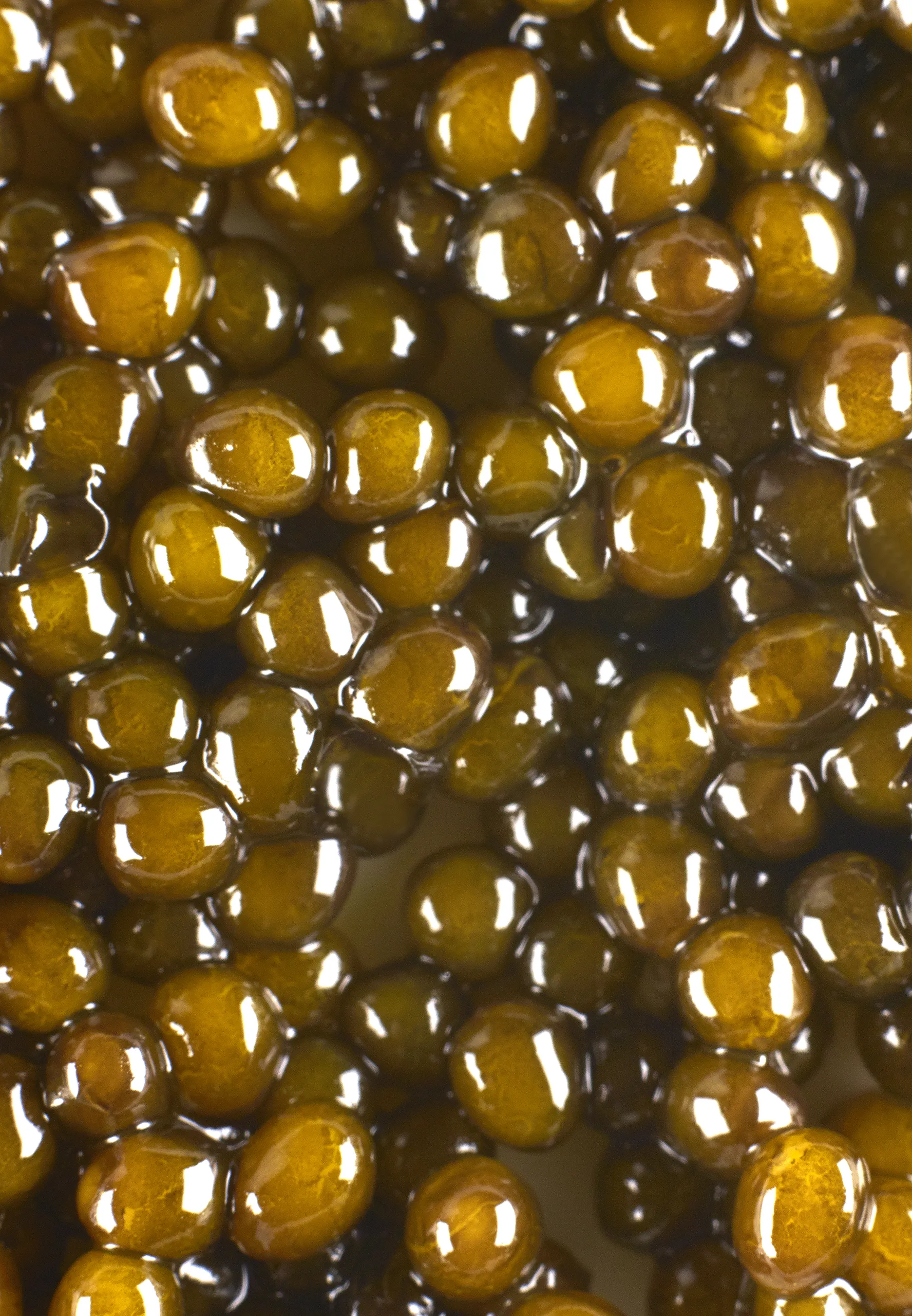 160622_PHOENIX_FOOD_28507_FINAL_DRUCK