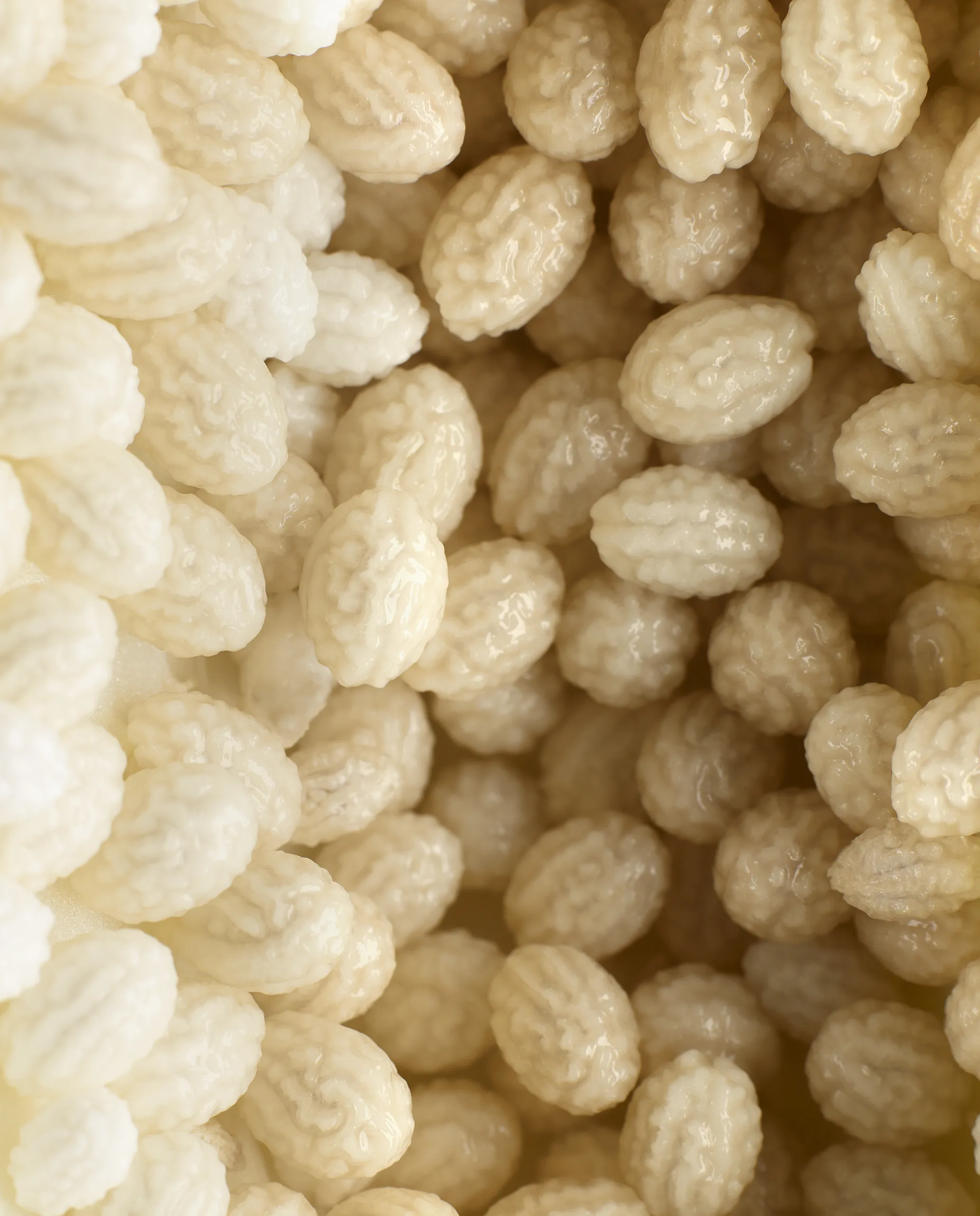 160622_PHOENIX_FOOD_28573_1_FINAL_DRUCK