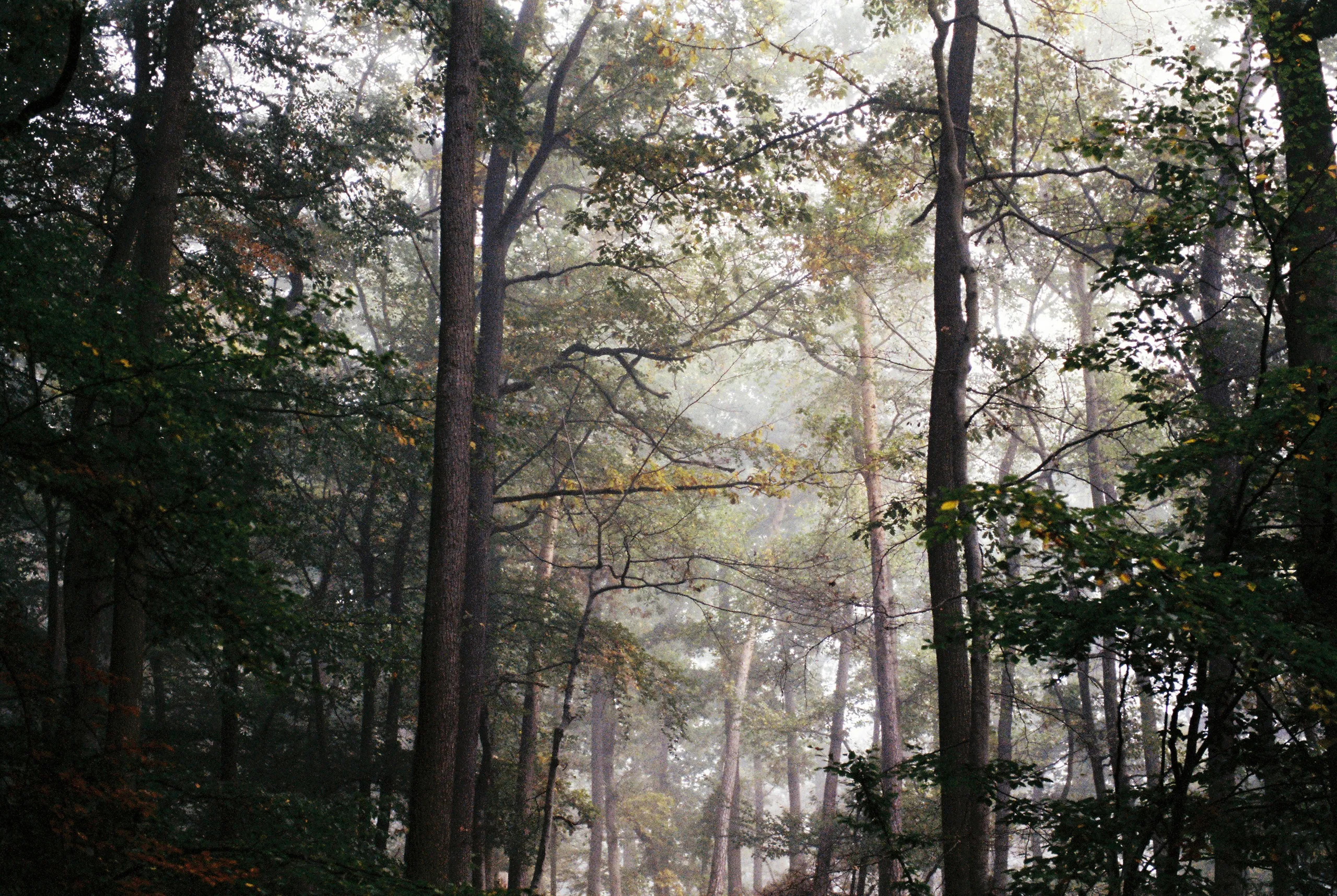 161020_SCANS_PORTRA_KELLERWALD_01_0005