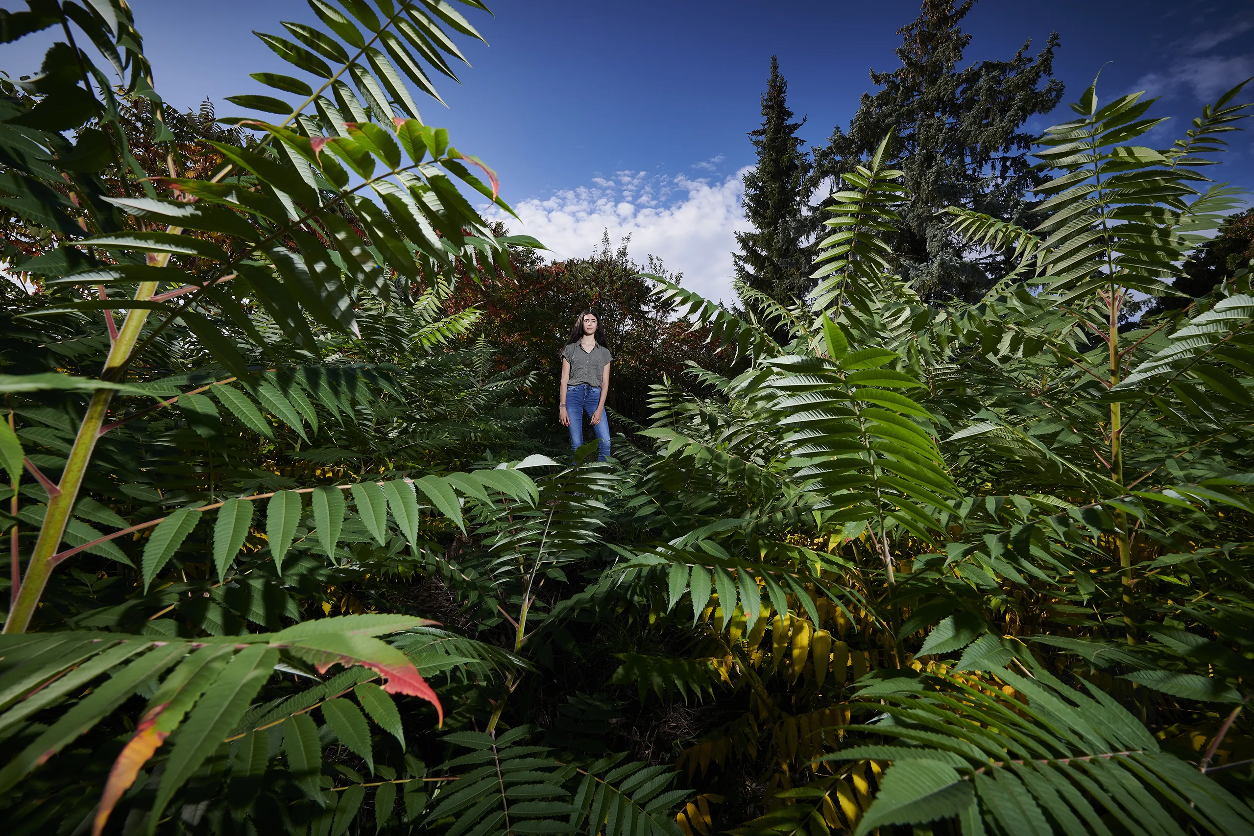 190929_LANDTAG_MZ_DSCHUNGEL_7499_FINAL_DRUCK