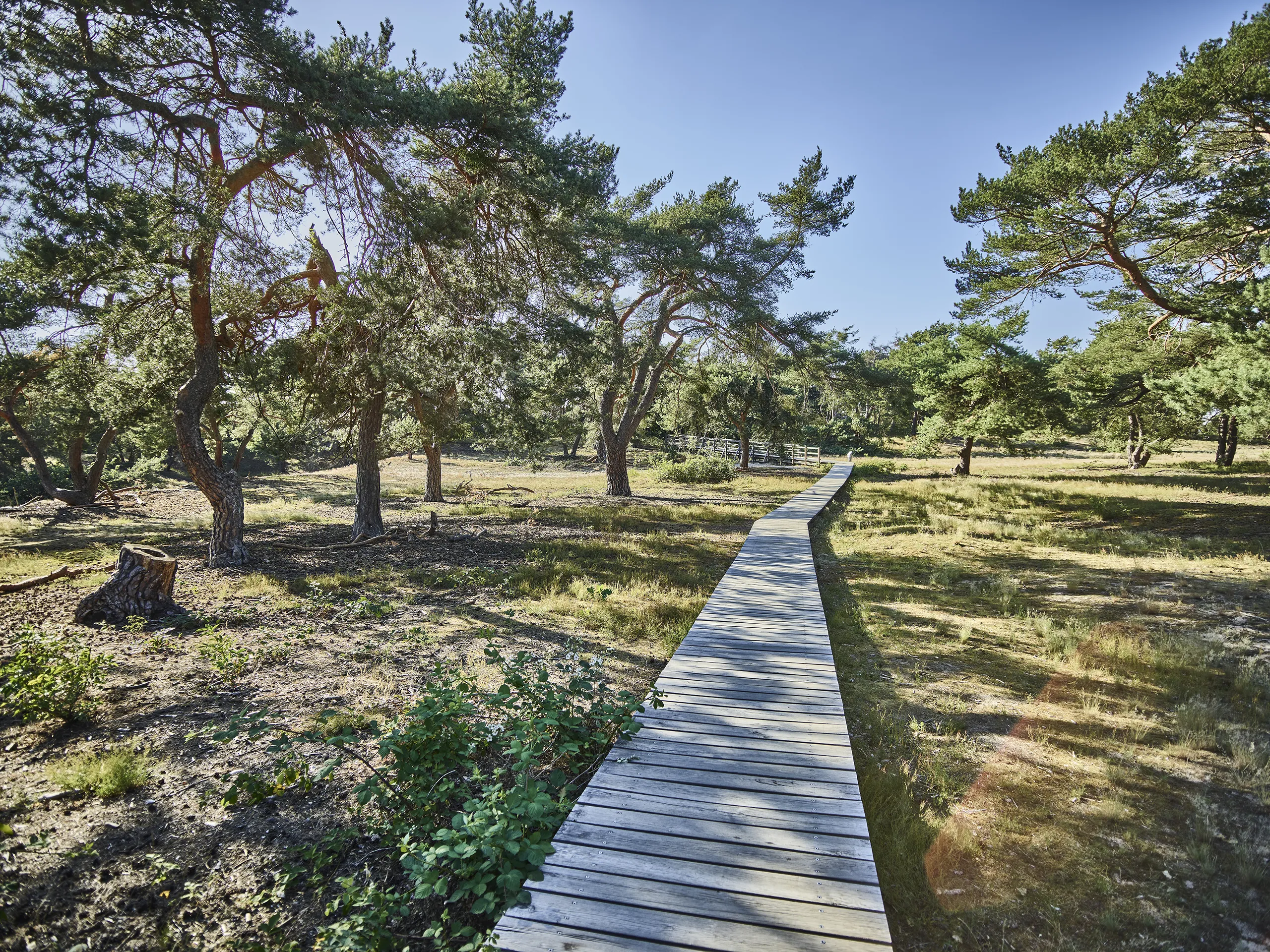 200623_HESSEN_TOURISMUS_0079_FINAL_DRUCK