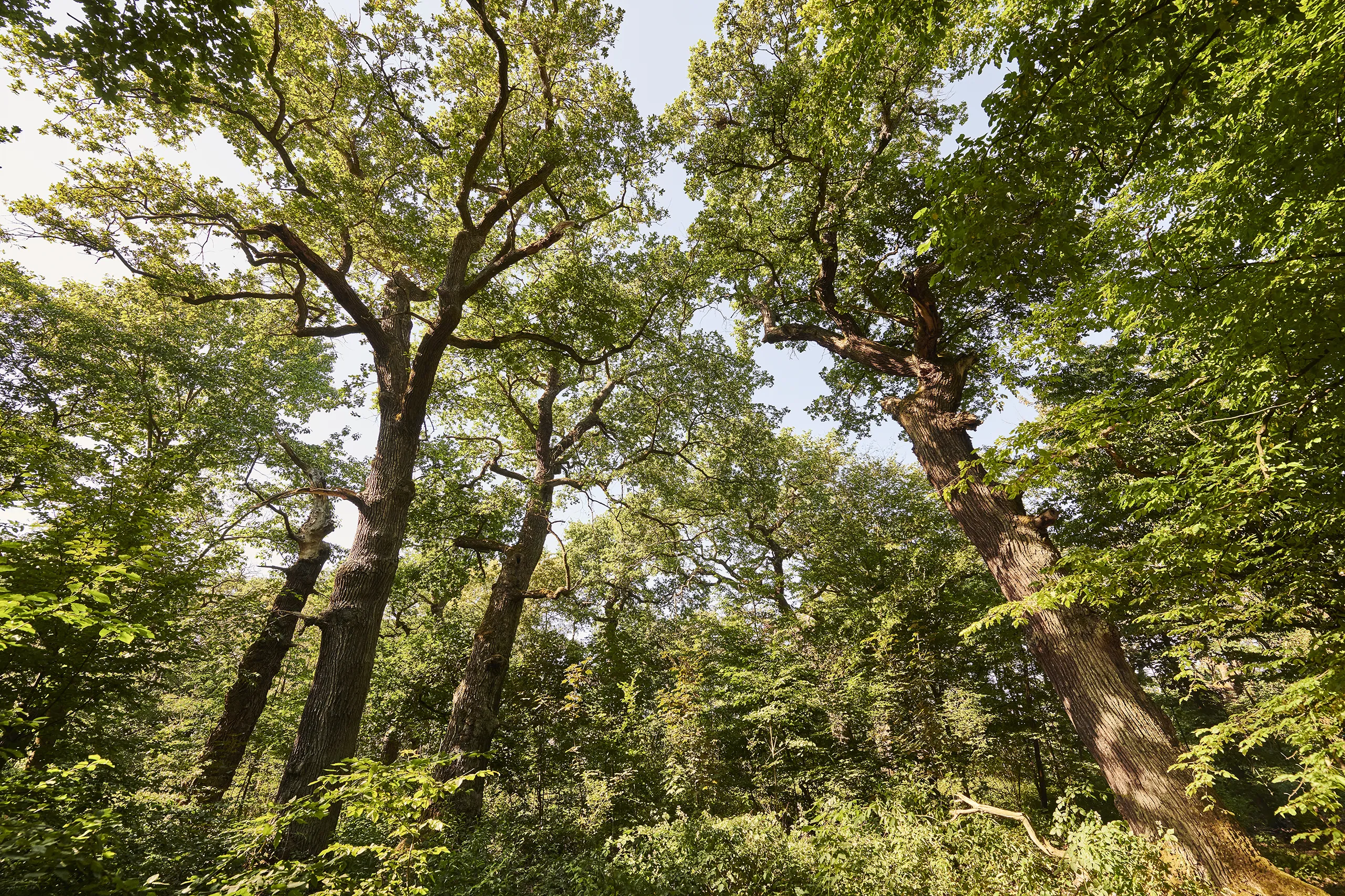 200623_HESSEN_TOURISMUS_0190_FINAL_DRUCK