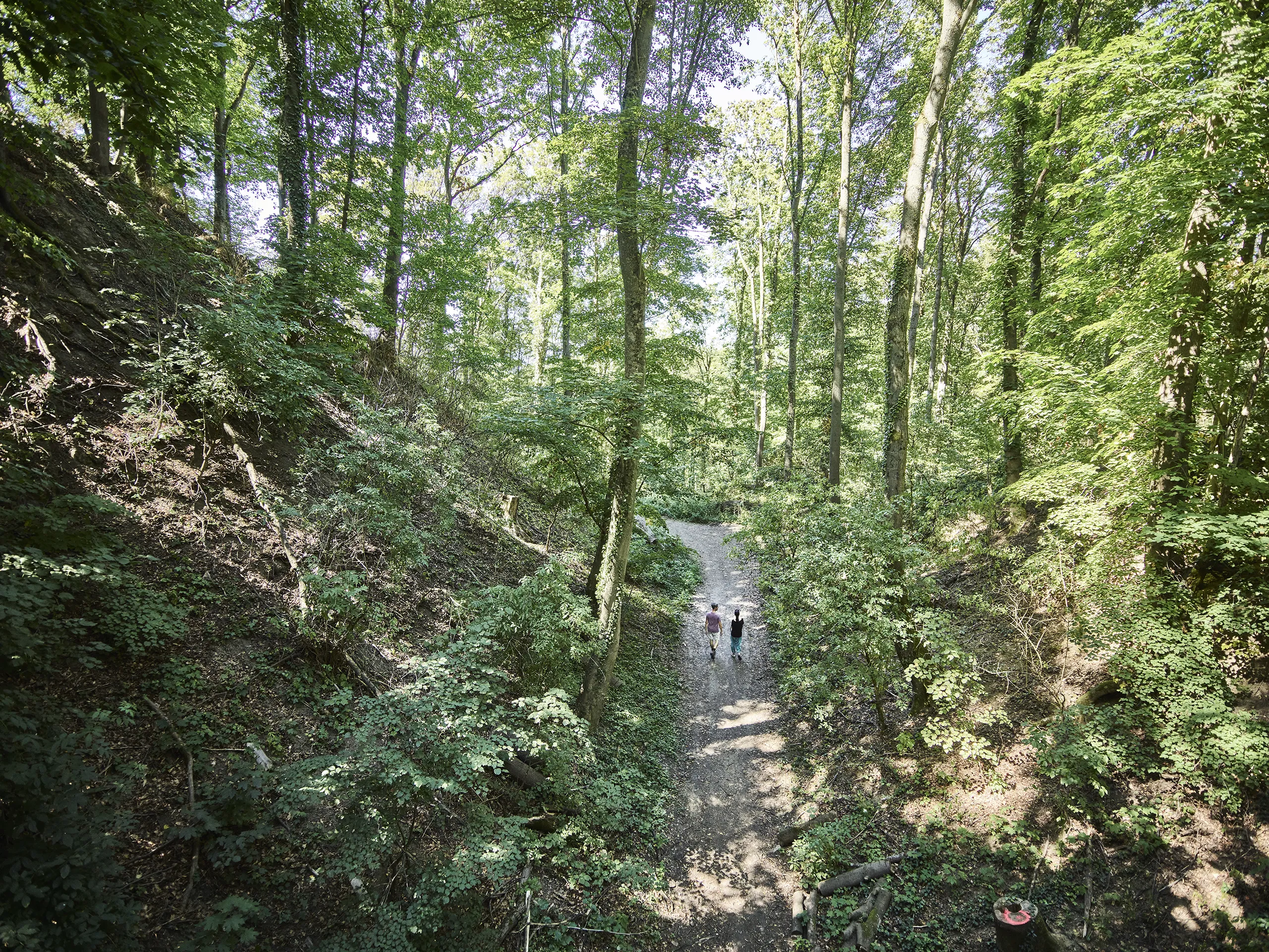 200731_HESSEN_TOURISMUS_ODENWALD_0172_FINAL_DRUCK