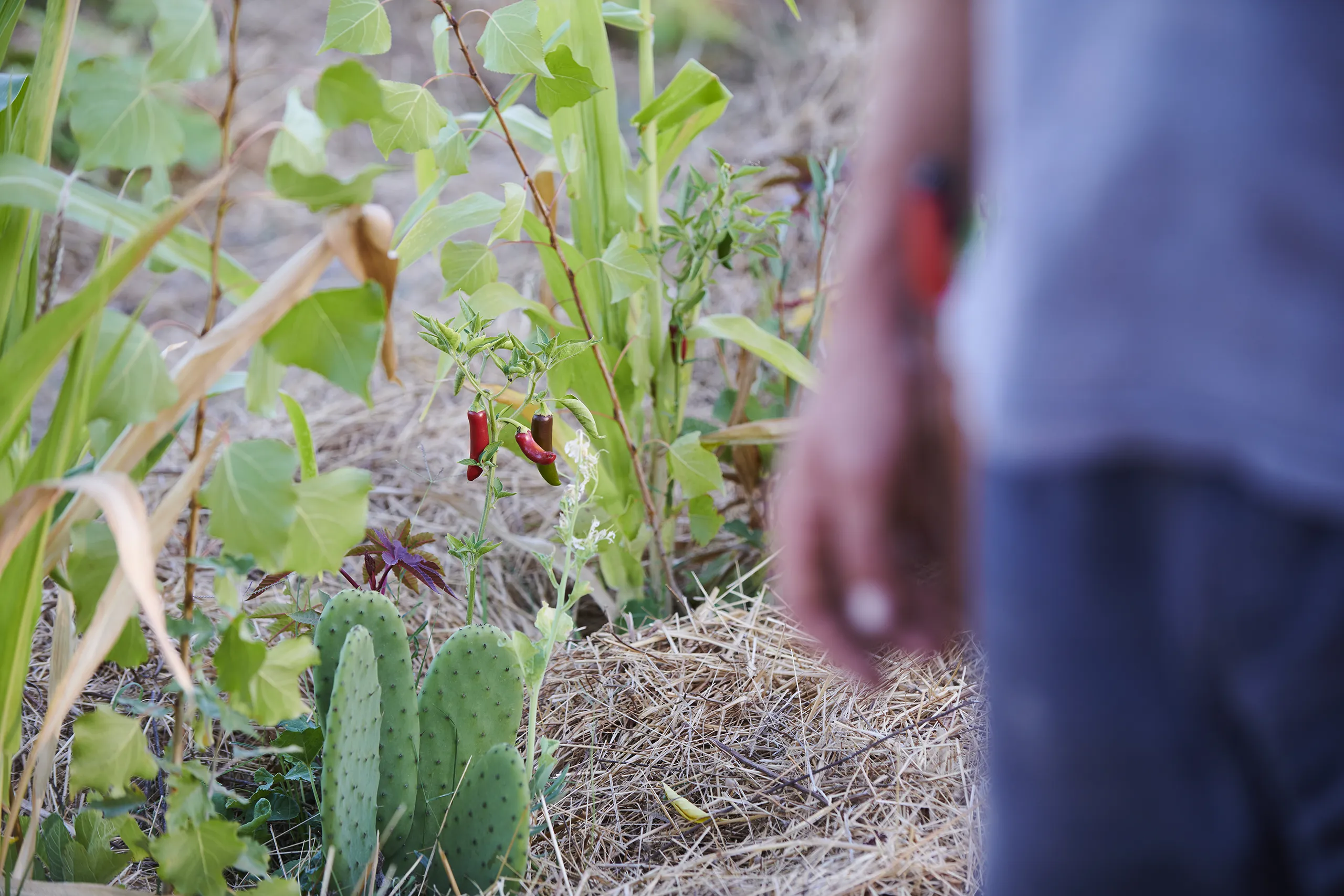 200828_MARC_SYNTROPIE_01_0183