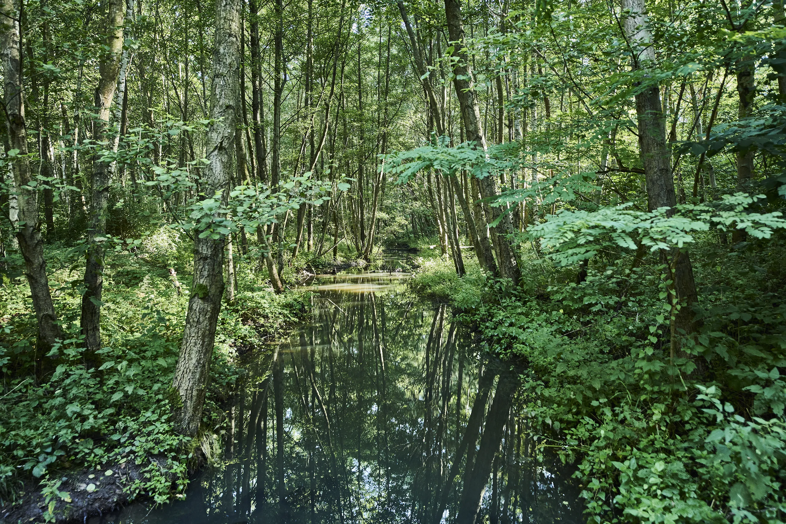 210810_HESSEN_TOURISMUS_BORKEN1020_FINAL_DRUCK