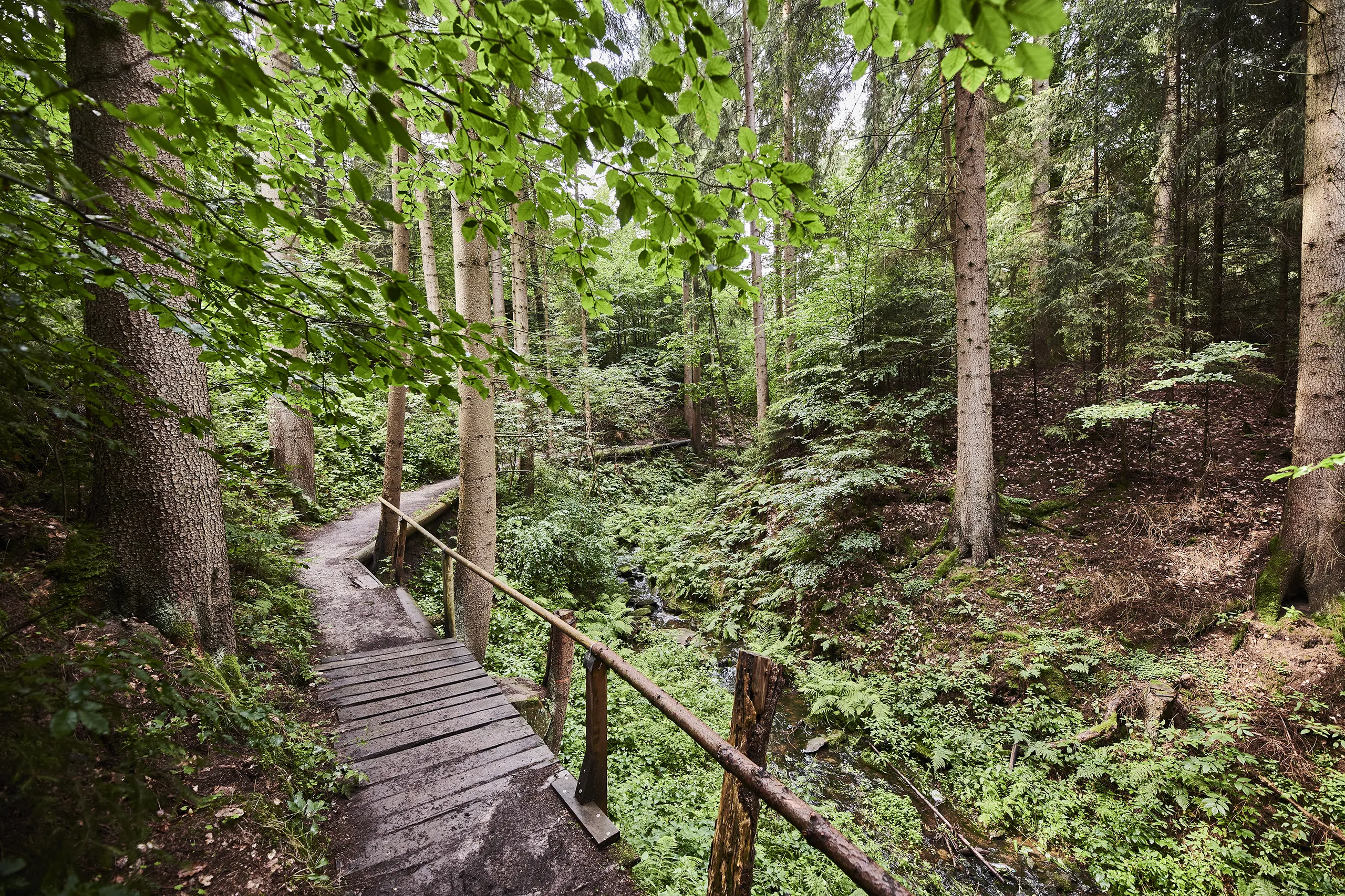 210811_HESSEN_TOURISMUS_KNUELL_KLAMM_1138_FINAL_DRUCK
