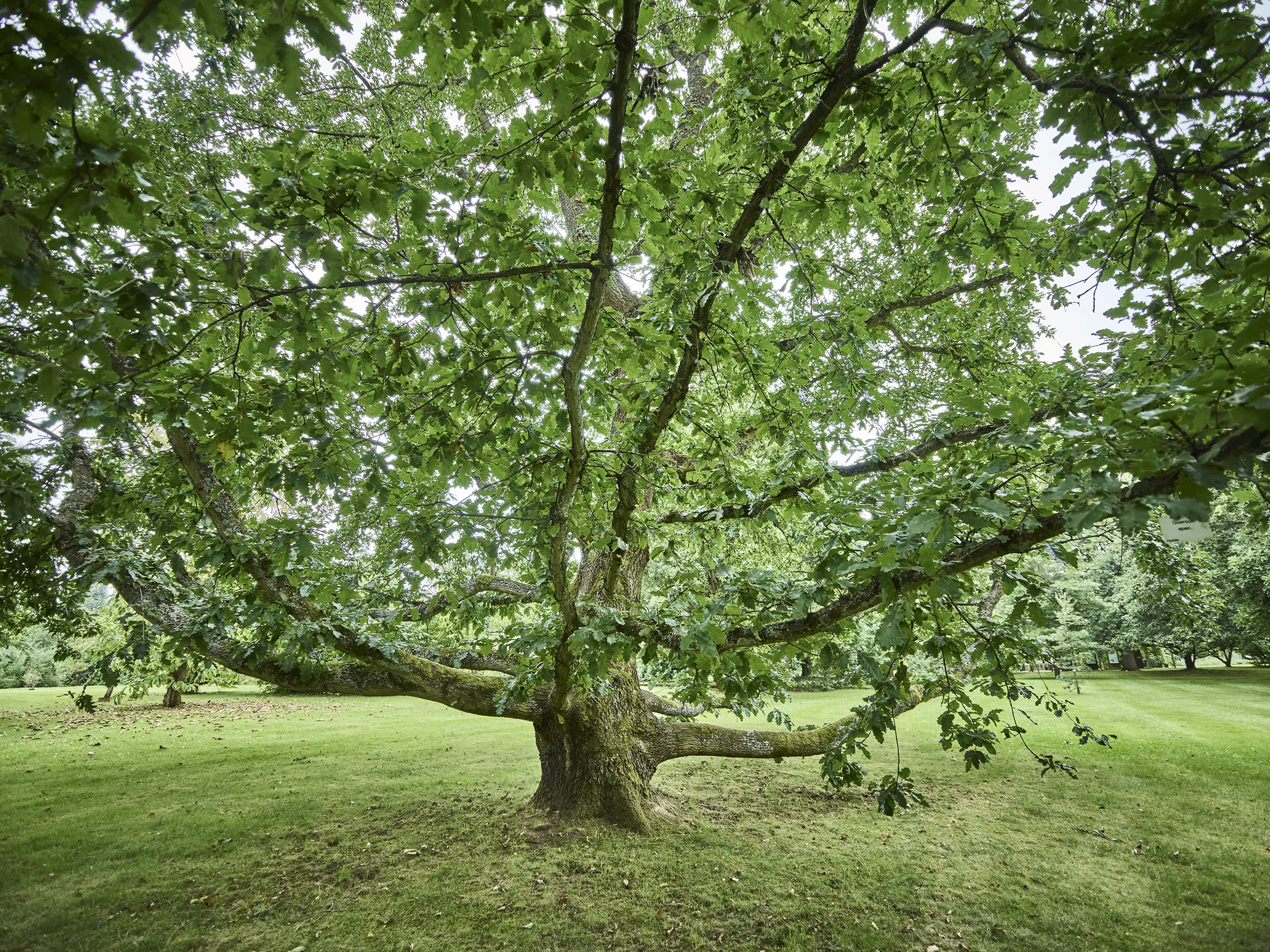 230824_HT_LAHNTAL_MARBURG_BOTANISCHER_GARTEN_0023_FINAL_DRUCK
