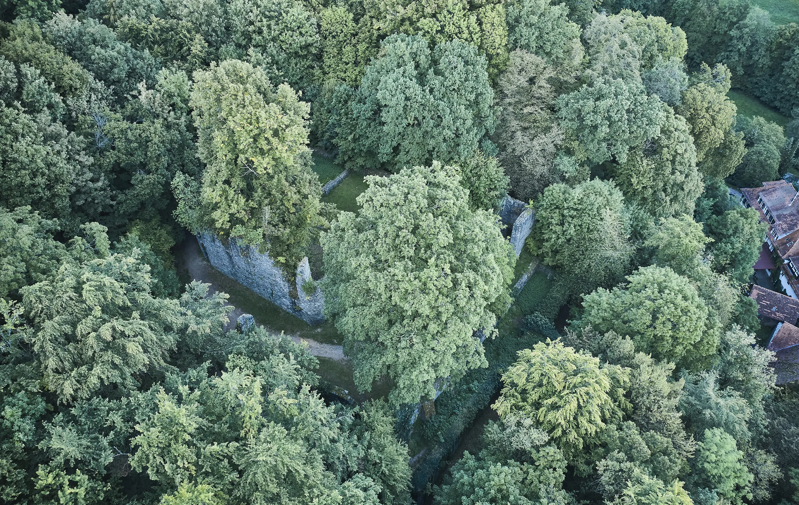 230920_HT_ODENWALD_BURGRUINE_RODENSTEIN_0402_FINAL_DRUCK