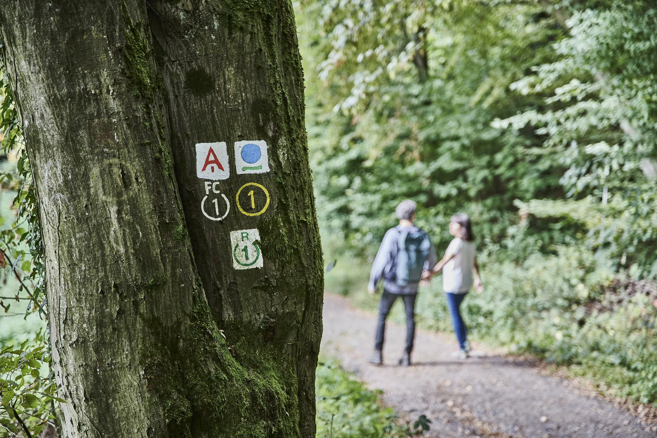 230921_HT_ODENWALD_BURGRUINE_RODENSTEIN_1507_FINAL_DRUCK