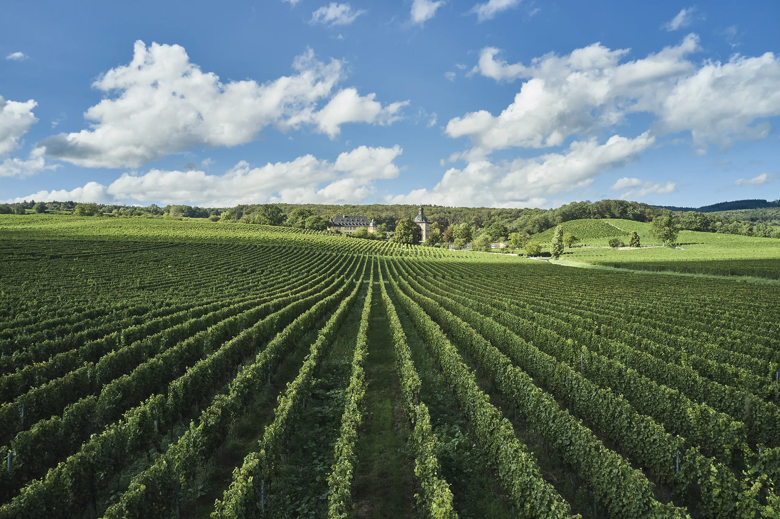 230922_HT_RHEINGAU_SCHLOSS_VOLLRADS_0919_FINAL_DRUCK