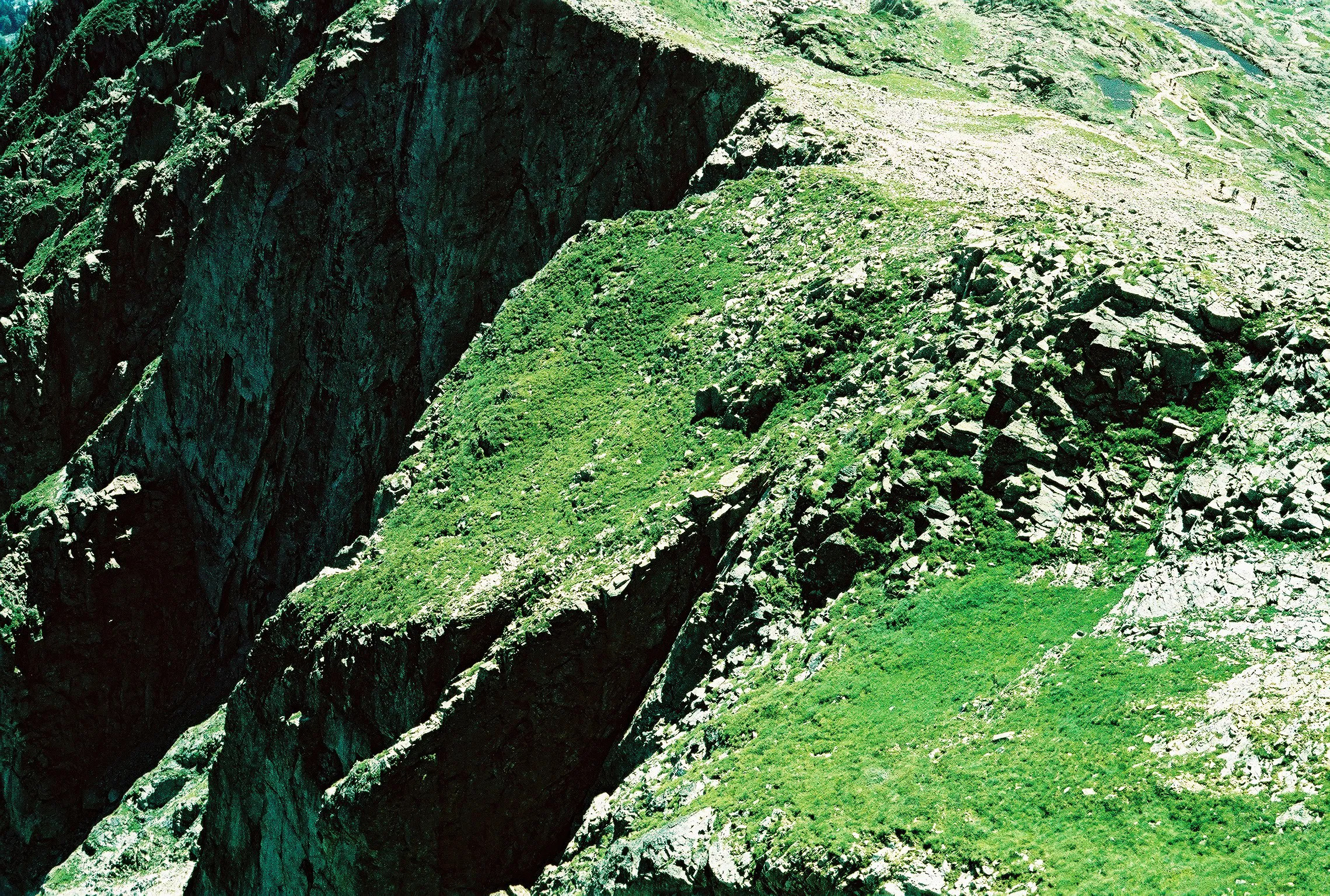 SCANS_CROSS_VITO_2010_12_004