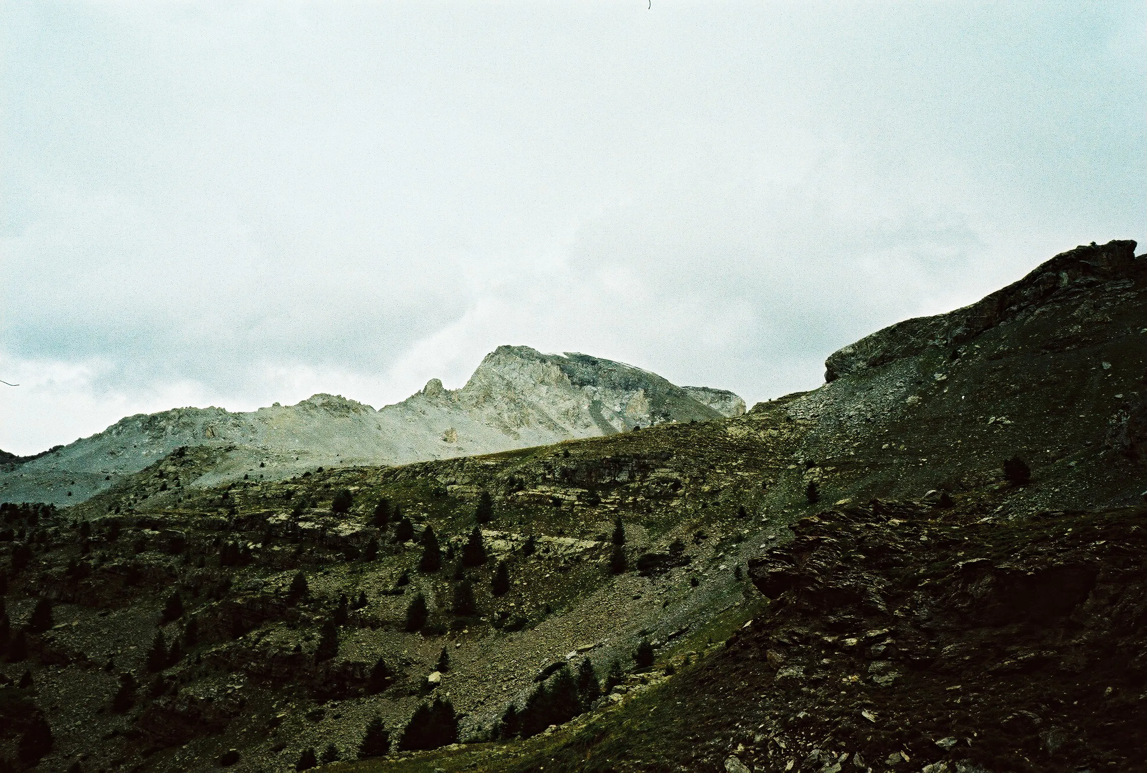 SCANS_CROSS_VITO_2010_16_007